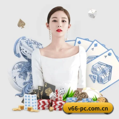 V66体育 APP