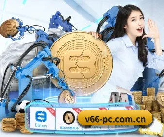 V66体育 APP 界面